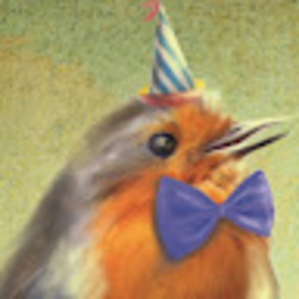 Meet your Posher, Sammi